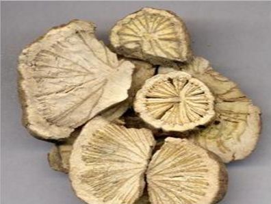 锻炼应要把握好运动强度与运动量