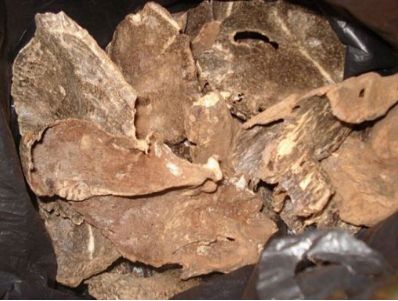 国家中医药管理局关于发布古代经典名方目录