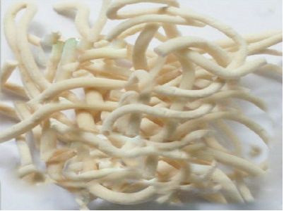 促进中药产业链形成和健康发展