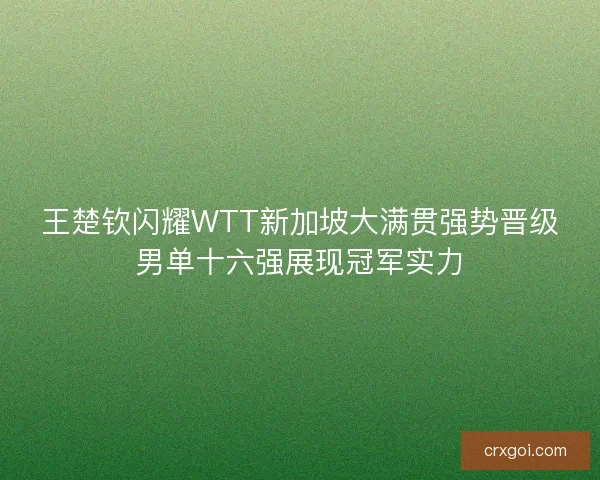 王楚钦闪耀WTT新加坡大满贯强势晋级男单十六强展现冠军实力