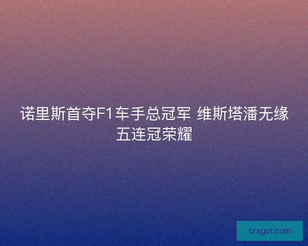 诺里斯首夺F1车手总冠军 维斯塔潘无缘五连冠荣耀